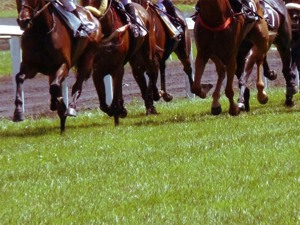 【忘れな草賞2024予想】オークスへ万全を期すなら必勝の構えで臨みたい一戦