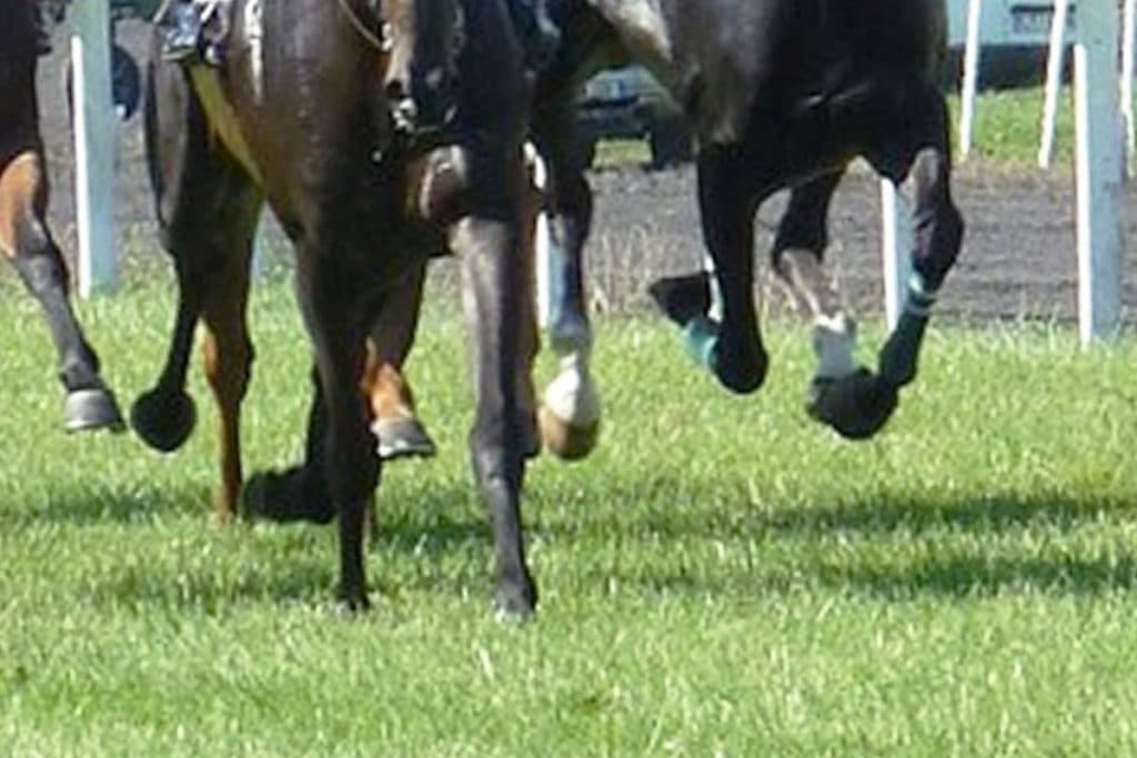 【新潟2歳S予想2020】大物感漂うショックアクション、鋭い末脚に期待