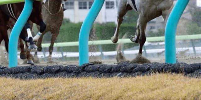 【みやこステークス2025予想】最終追い切り・調教内容が高評価の馬トップ3は?