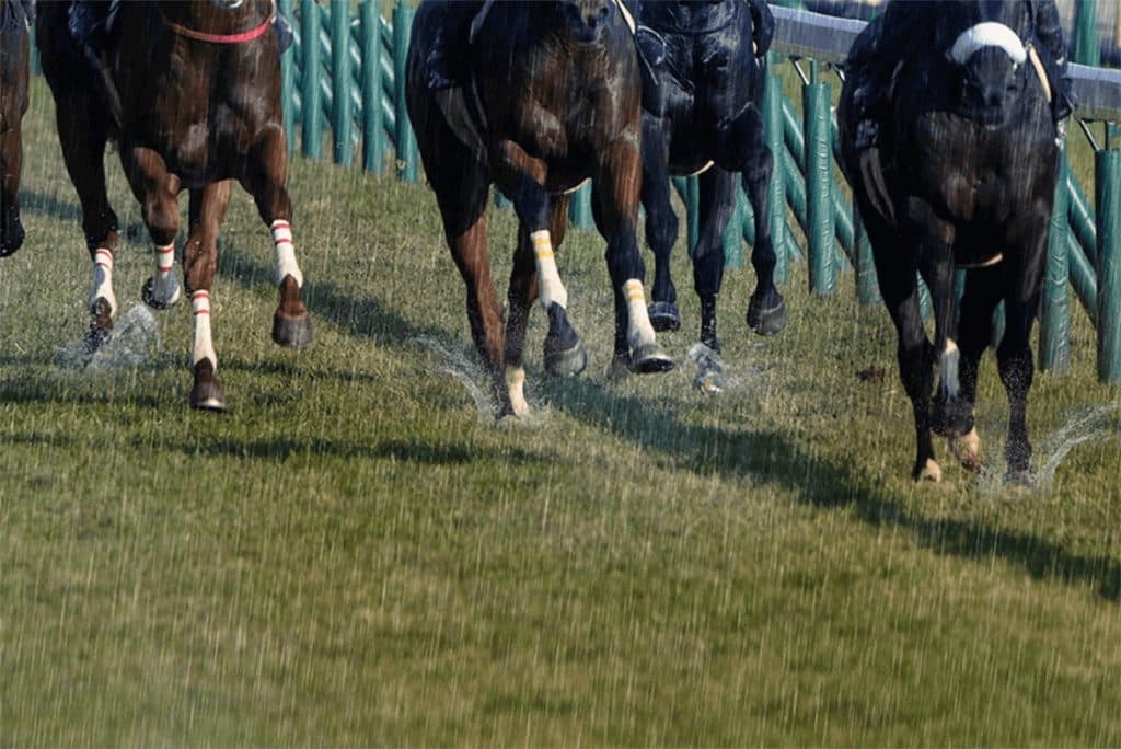 【小倉2歳S2024予想】雨でタフさが求められる今年はエンドレスサマーで勝負!