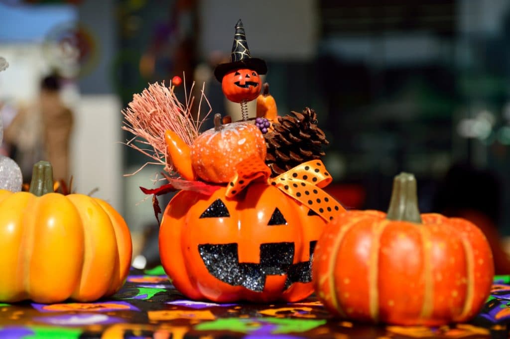 天皇賞秋(2020)のサインは“ハロウィン”!推奨穴馬1頭とは?