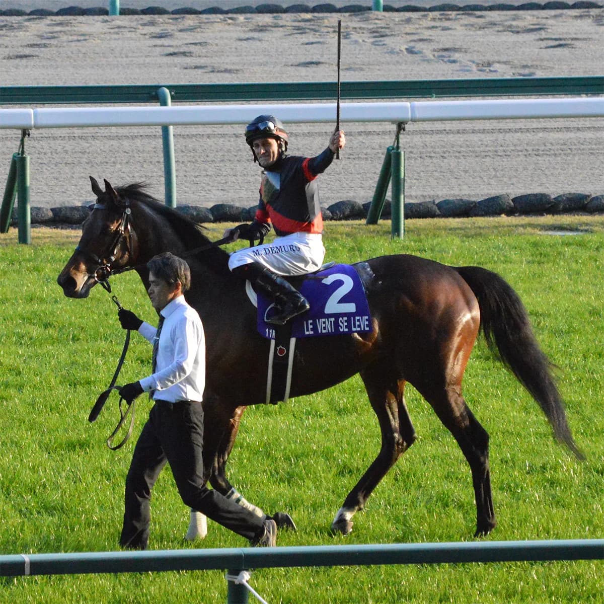 JRAルヴァンスレーヴ、来年より新天地・社台SSで種牡馬デビュー
