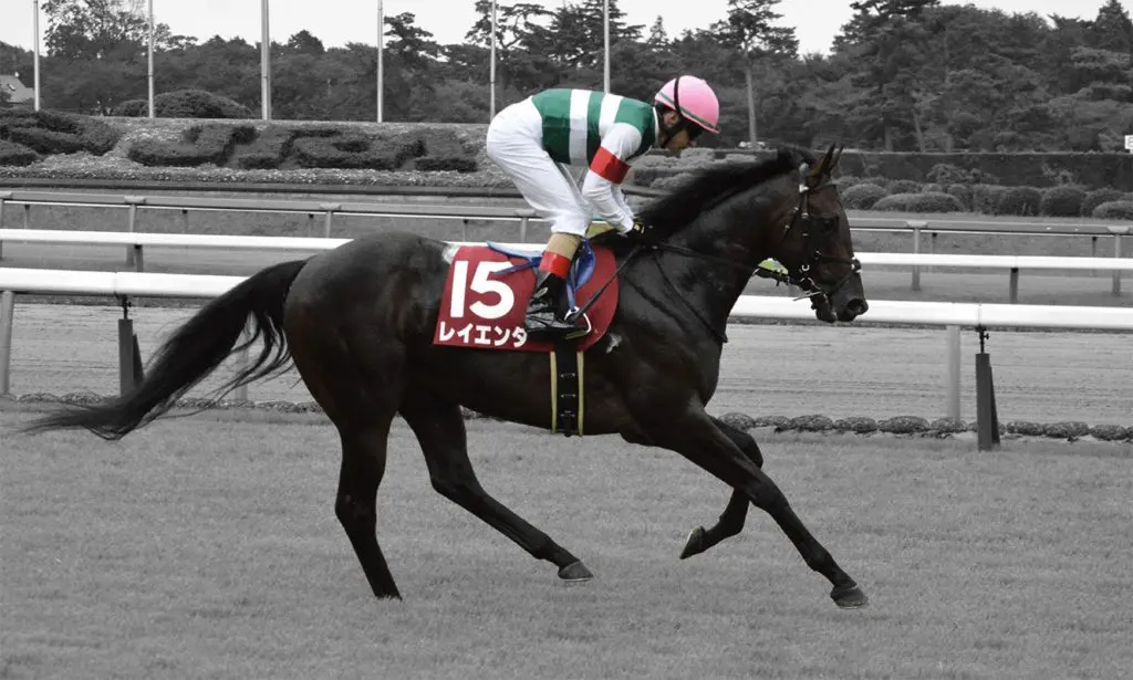 【京都記念2021予想】試行錯誤が続く良血レイエンダ、若武者とのコンビで覚醒なるか