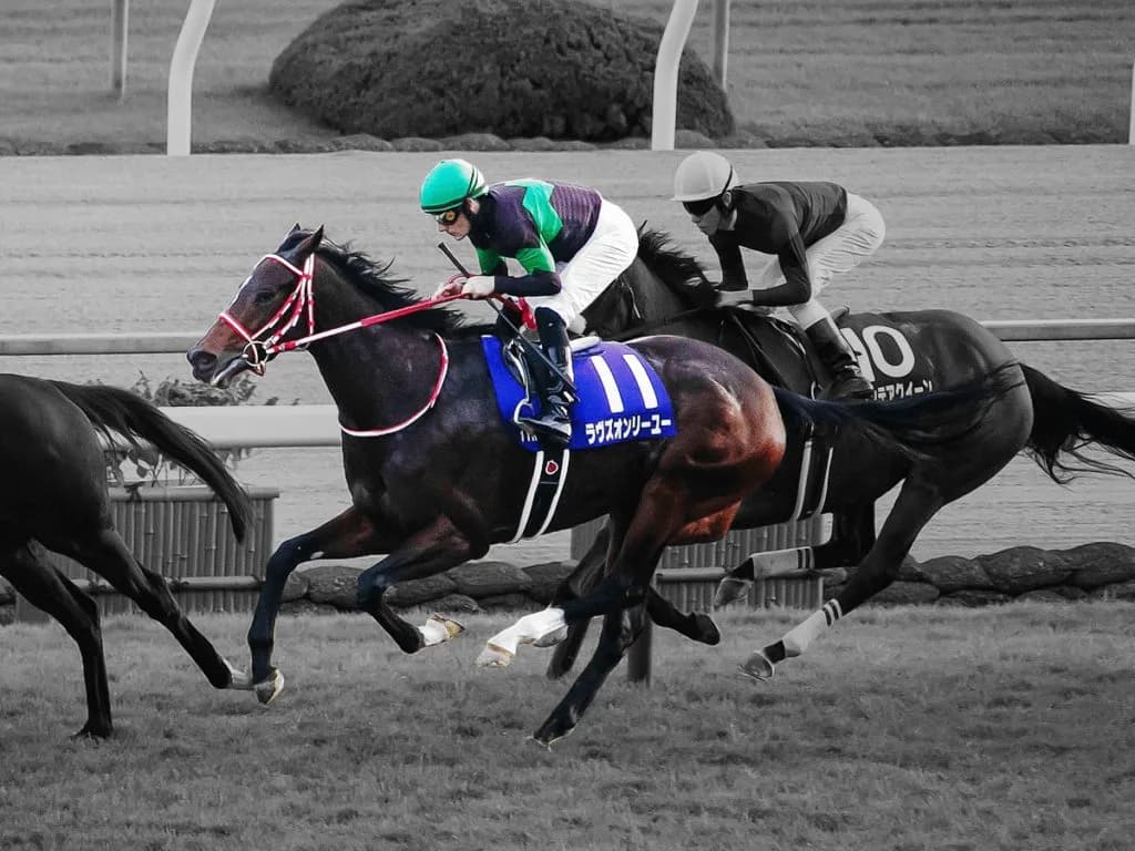 JRAラヴズオンリーユー、初年度交配はエピファネイアが第一候補