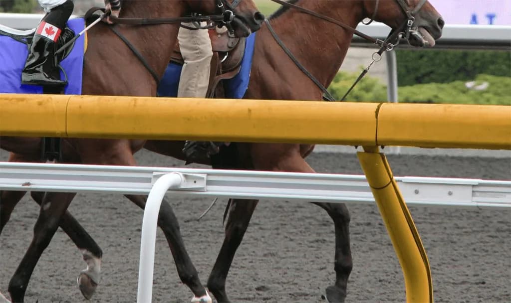 【京都大賞典2020予想】最終追い切り・調教内容が高評価の馬トップ3は?