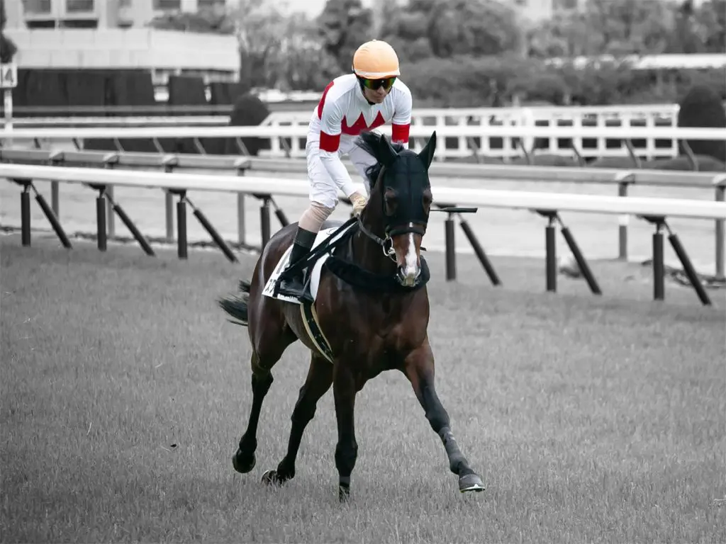 【浦和記念2022予想】地方転身のスワーヴアラミス、古巣に一泡吹かせられるか?