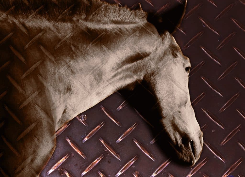 【シリウスS予想2024】オメガギネス、59kgでも確勝級か?