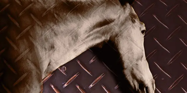 【フェブラリーS予想2024】オール連対中のオメガギネス、鉄板級の軸馬候補