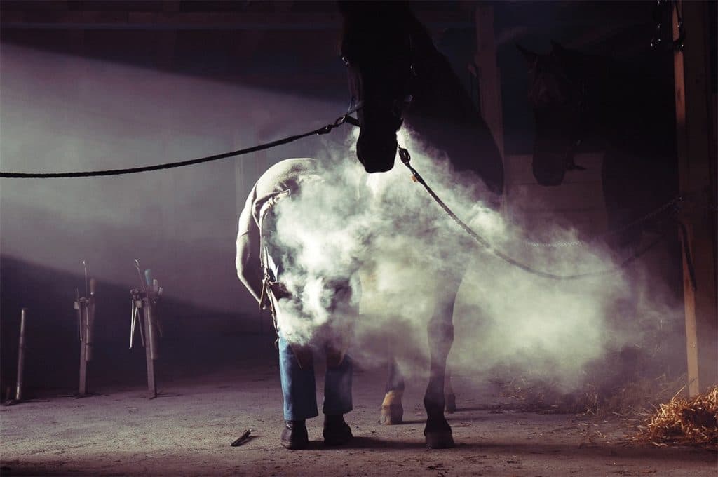 【ラジオNIKKEI賞2025予想】バズアップビート試金石、気性難✕1勝馬✕格上挑戦、すべてを覆す一撃なるか?