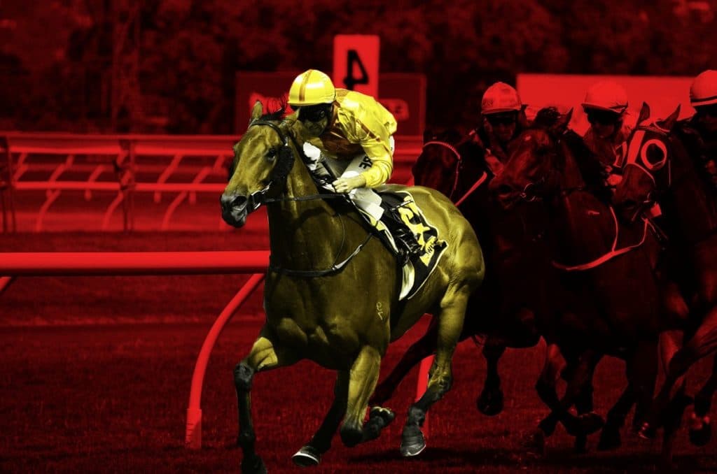 JRAマイルCS(2020)の絶対軸馬は阪神巧者のあの馬だ