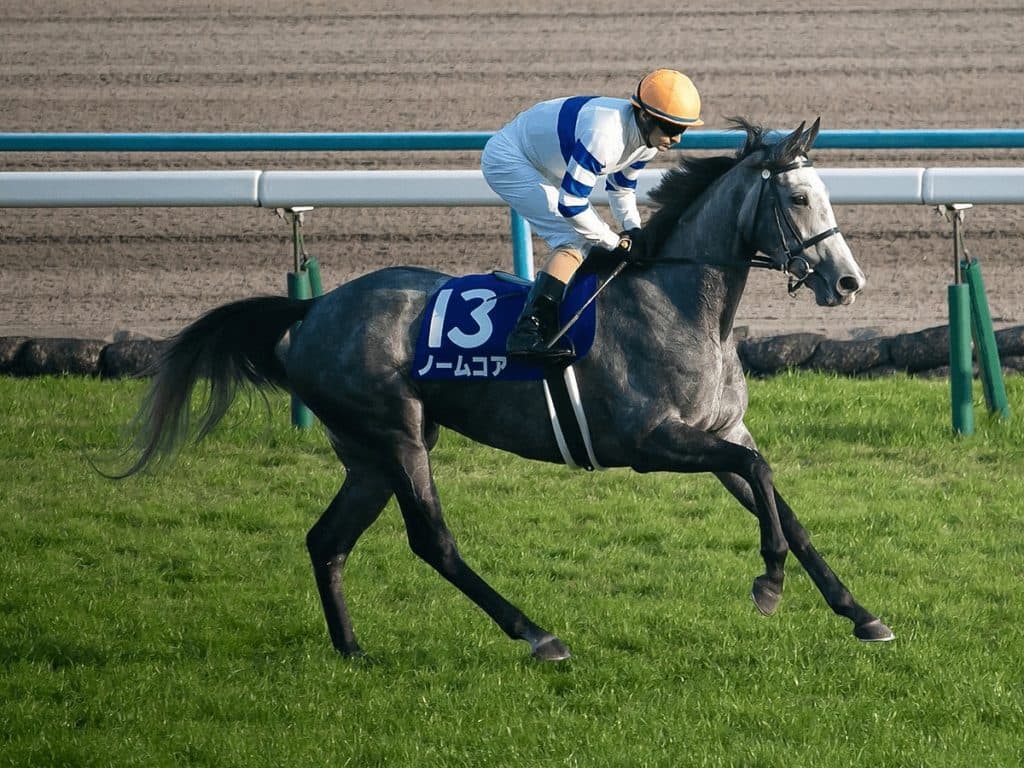 【エリザベス女王杯2020予想】ノームコア、試行錯誤のローテーションが実を結ぶか