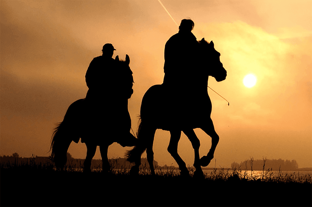 トップマイラー2頭が引退!ソングラインは繁殖へ、シュネルマイスターは種牡馬に