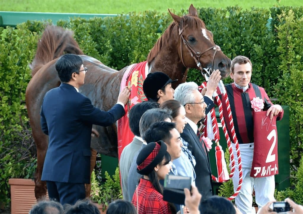 アルバート引退、種牡馬入り