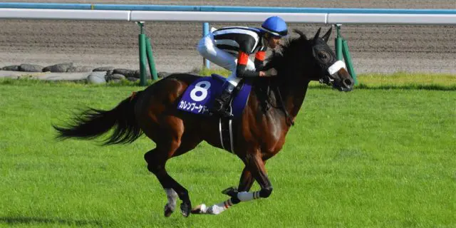 カレンブーケドールが引退、繁殖入り