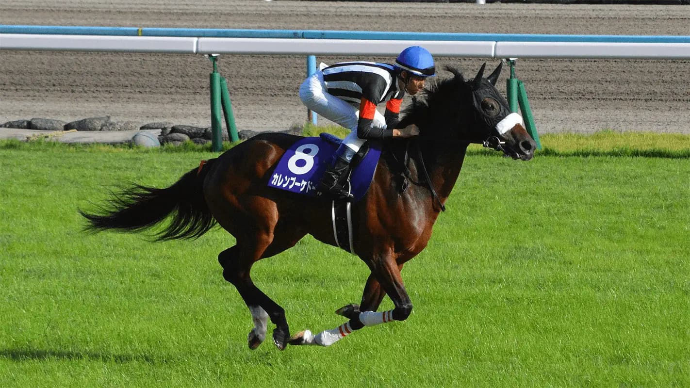 【有馬記念2020予想】善戦続きのカレンブーケドール、グランプリ男騎乗で初G1制覇なるか?