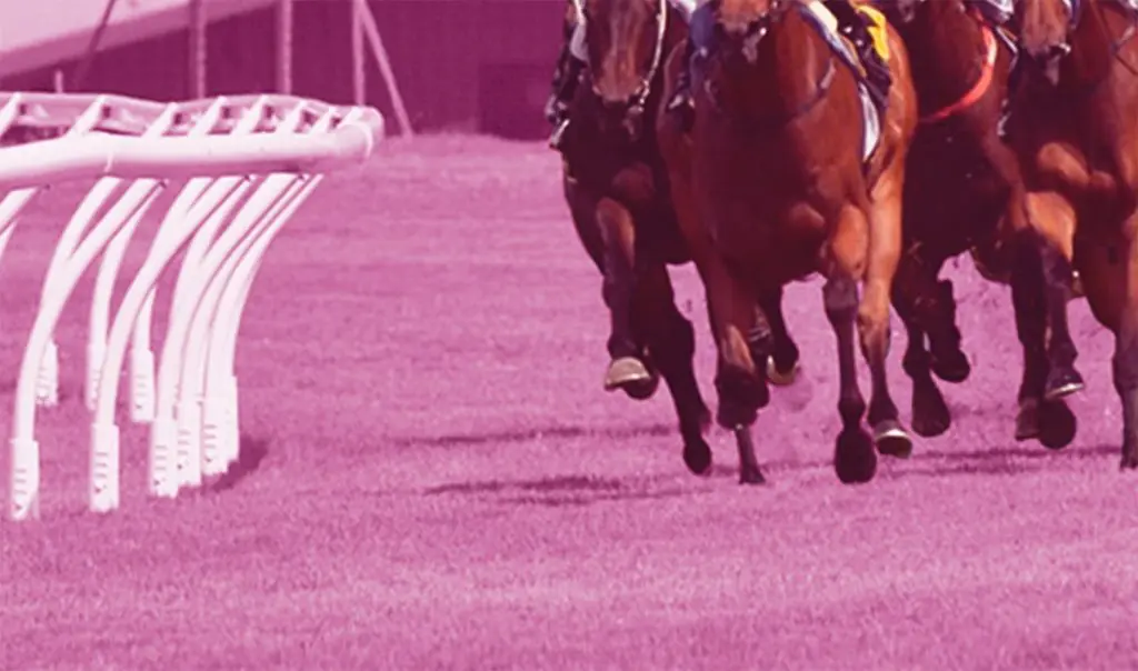 【JRAカペラS予想2025】ガビーズシスター連覇なるか?吉田隼人騎手との再タッグで女王返り咲きへ