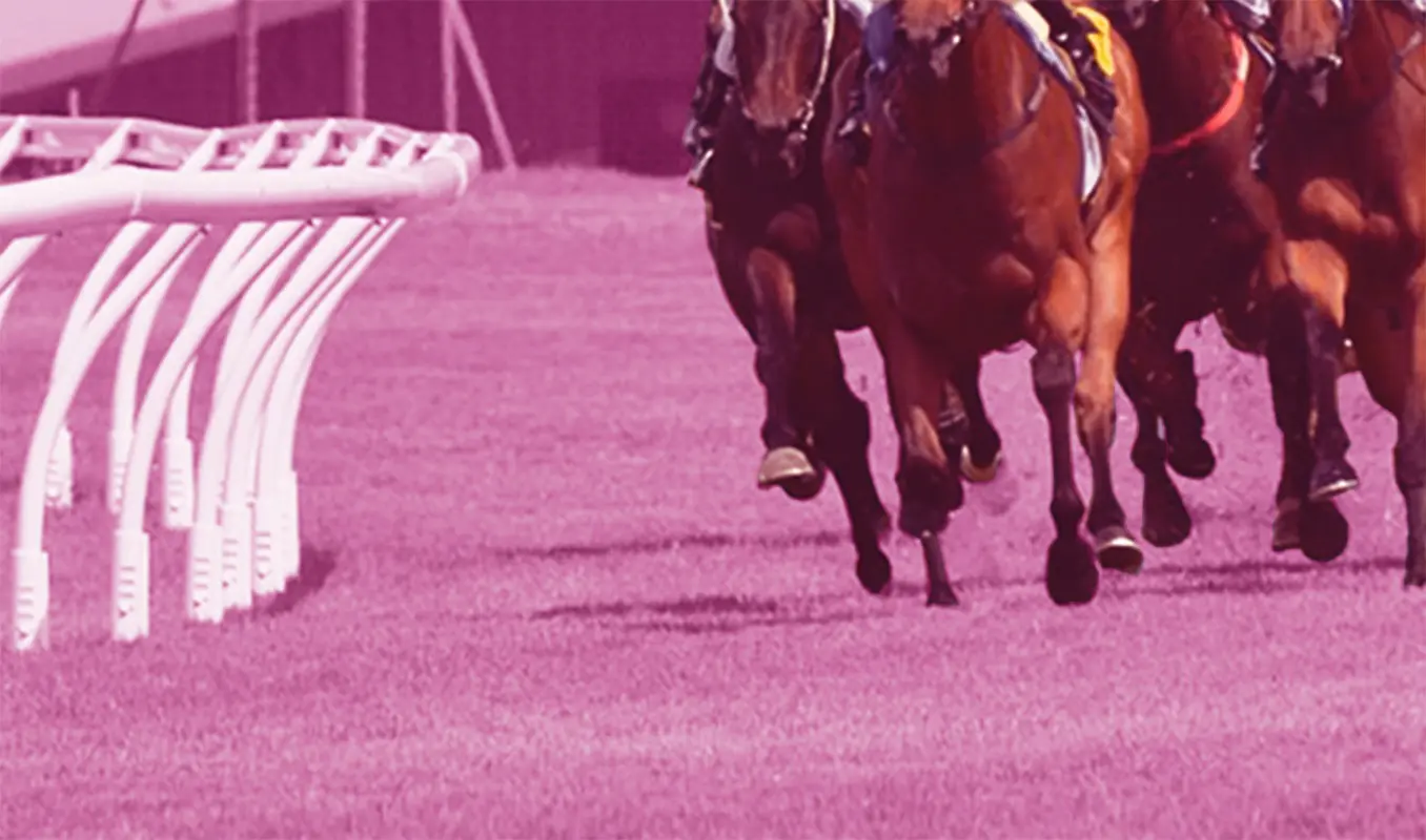 【小倉牝馬S予想2026】牝馬限定のハンデG3!ジョスランやココナッツブラウンなど出走予定馬を考察