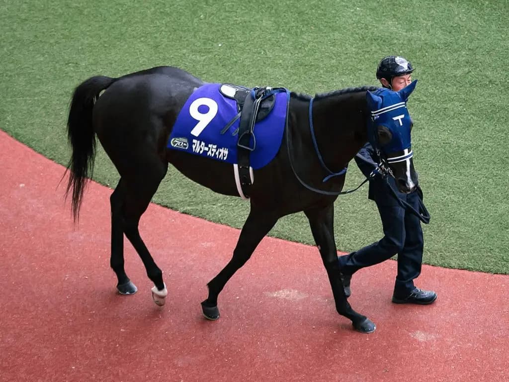 【中山記念2022予想】ハイペース必至のメンバー構成でマルターズディオサが差し脚を活かして重賞V3へ!