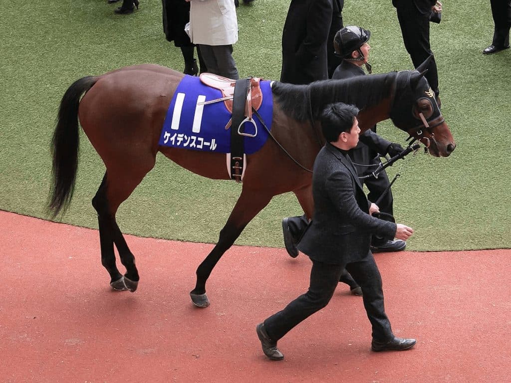 【レース回顧】マイラーズカップ2021を振り返る