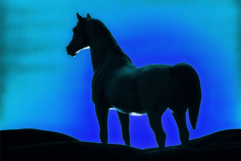 【シンザン記念2021】重賞2着の実績馬ブルーシンフォニーに妙味あり?