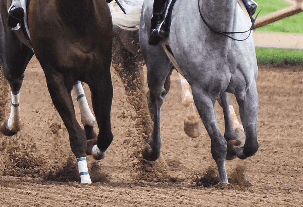 【スパーキングレディーカップ予想2025】先手取れるアンモシエラか?差しのテンカジョウか?