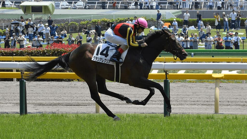 【ヴィクトリアマイル回顧】牝馬限定G1でも今はハイレベルレースに