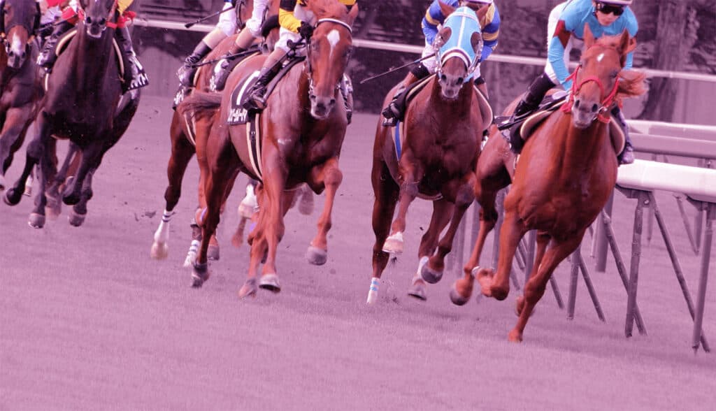 【オクトーバーステークス予想2023】上位人気の不安定なレース、今年も穴馬台頭必至か?