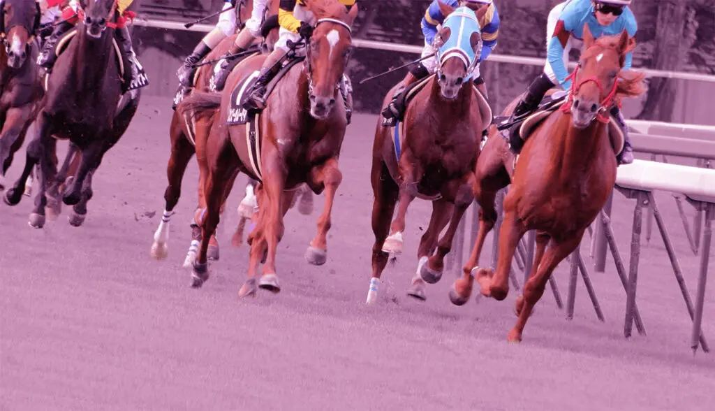 【中日新聞杯2025予想】混戦模様のハンデG3!シンハナーダやヴィンセンシオなど出走予定馬を考察