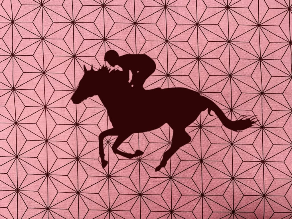 “鬼滅の刃”ブーム、競馬界にまで。ピンクの面子「ネズコ」、デビュー戦は8着