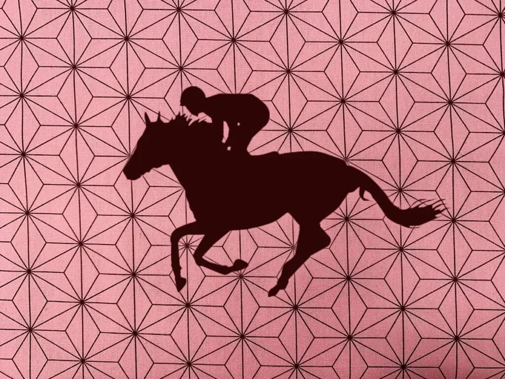 “鬼滅の刃”ブーム、競馬界にまで。ピンクの面子「ネズコ」、デビュー戦は8着