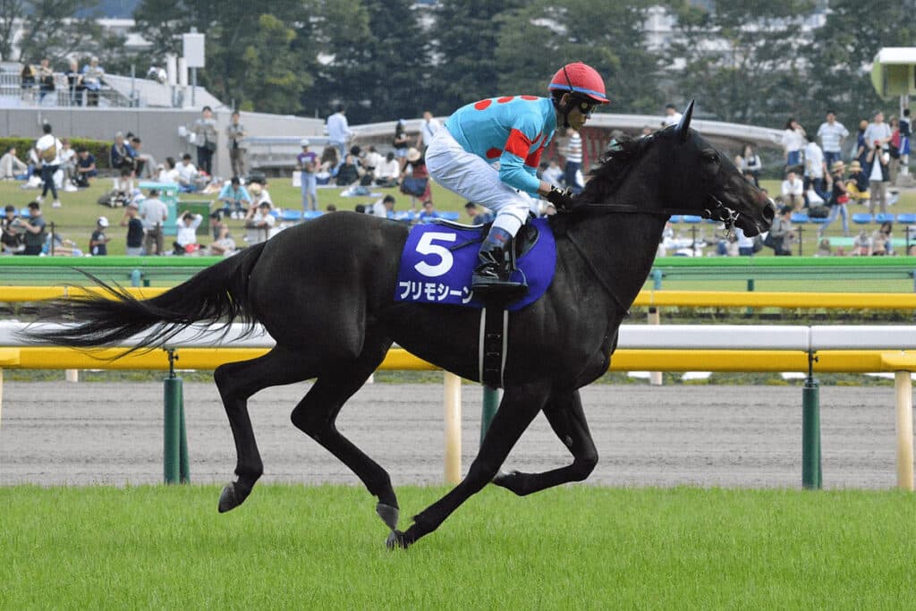 JRAプリモシーン引退、繁殖入り