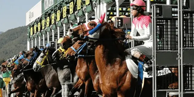 【JRAスプリンターズS2021】ダノンスマッシュやレシステンシアなど、22頭が登録