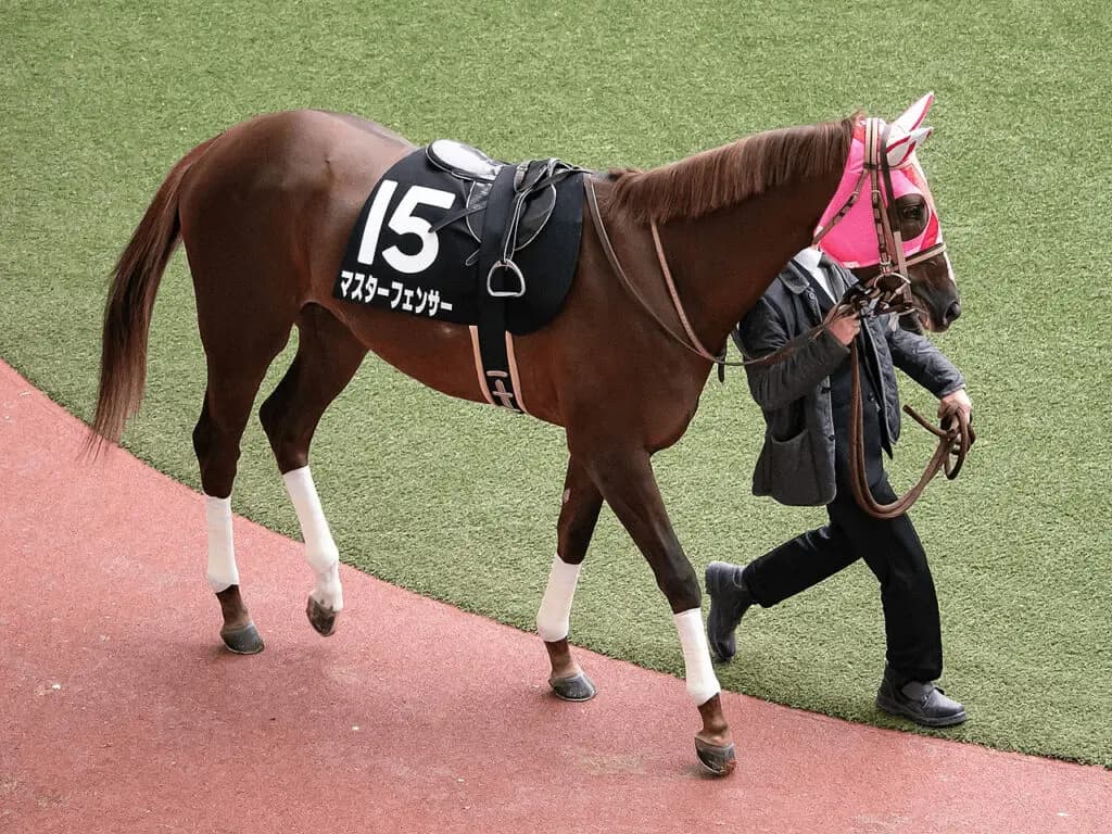 【ダイオライト記念2021予想】松山騎手に乗り替わりのマスターフェンサー、4連勝を目指す