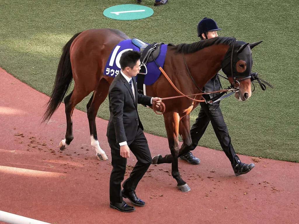 【高松宮記念2021予想】ラウダシオン、得意の左回りコースで久々の勝利なるか?