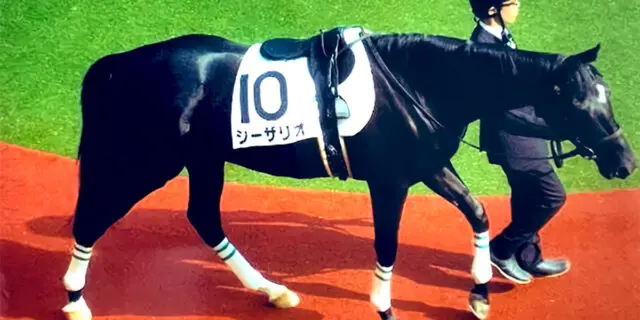 日米オークス制した名牝・シーザリオが死亡