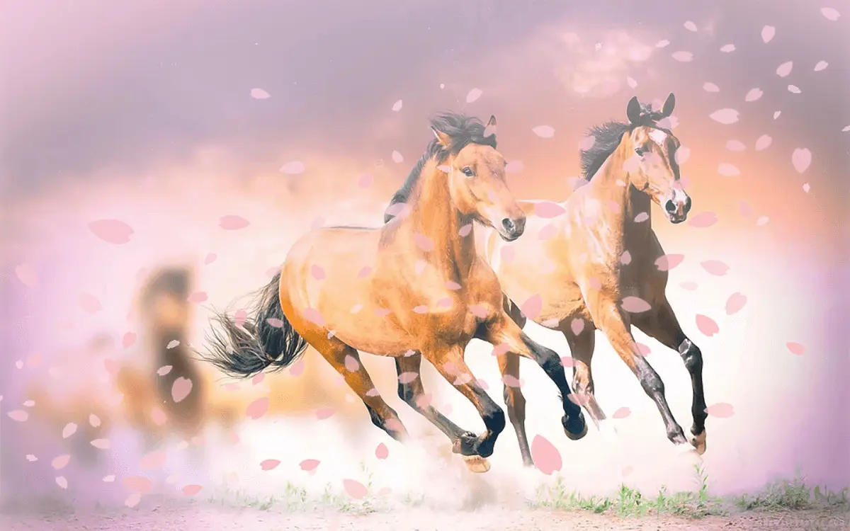 【桜花賞2021予想】3歳牝馬“三冠”の1戦目!ソダシやサトノレイナスなど出走予定馬を考察