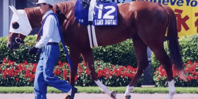 芝&ダートでG1を制覇したアグネスデジタル、死す