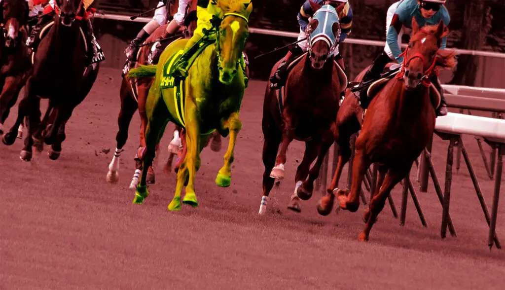 【富士ステークス2025予想】逃げ馬不在でスロー決着濃厚か?ウンブライルの瞬発力に期待