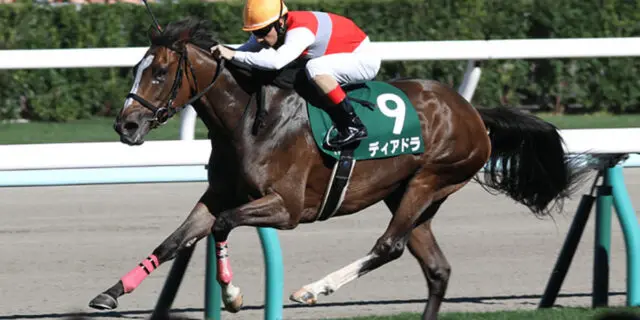 2017年秋華賞馬ディアドラが初仔を受胎