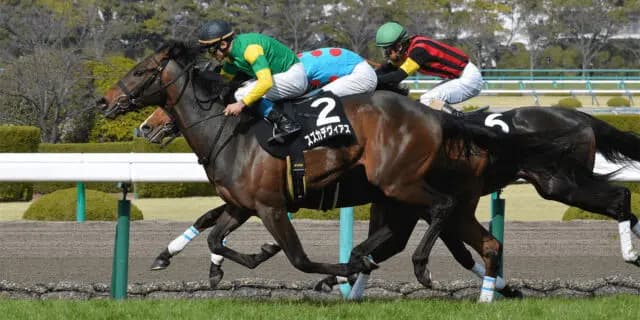 スズカデヴィアス予後不良、中京1Rで左第1指関節脱臼