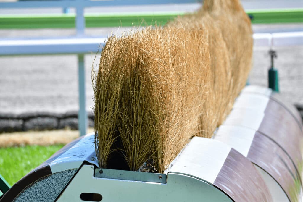 【京都ジャンプS予想2021】注目の障害G3!タガノエスプレッソやホッコーメヴィウスなど出走予定馬を考察