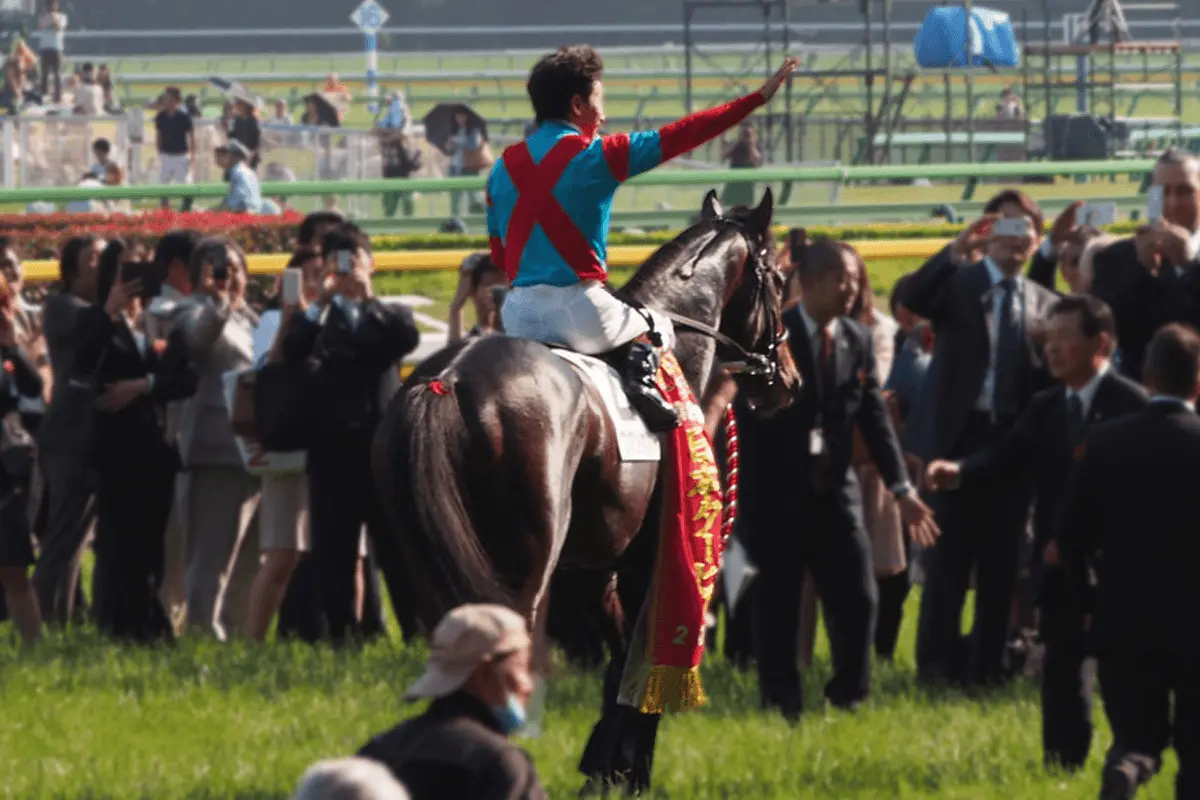 新種牡馬ワンアンドオンリー産駒が高知競馬で初勝利!