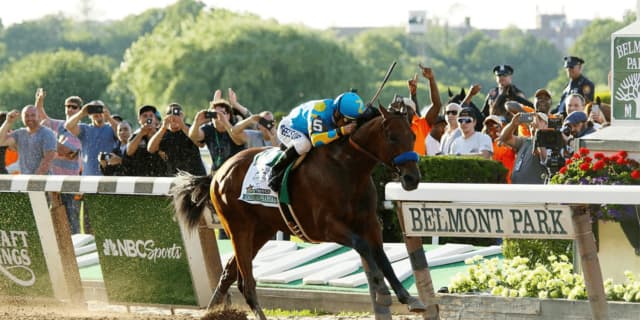 実績十分のアメリカンファラオの直仔がイーストスタッドで種牡馬入り