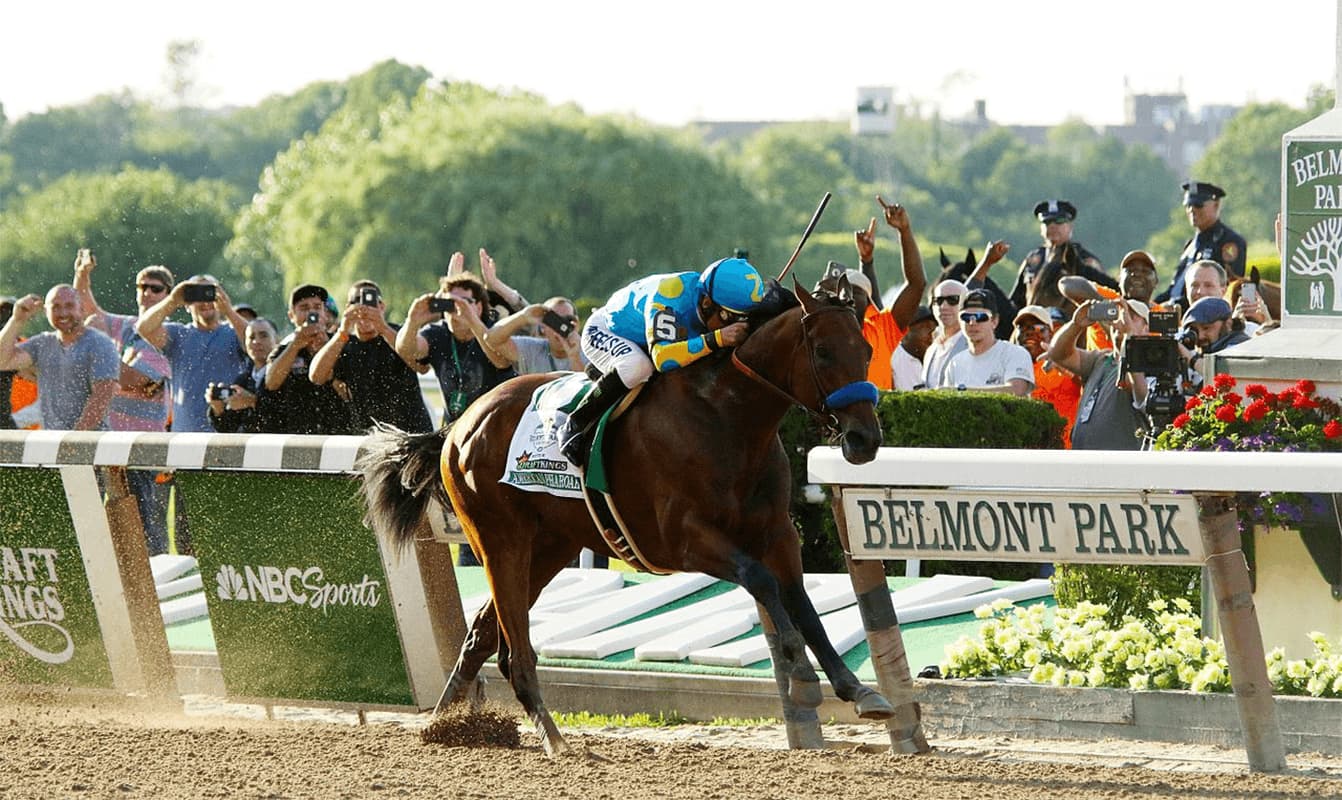 実績十分のアメリカンファラオの直仔がイーストスタッドで種牡馬入り