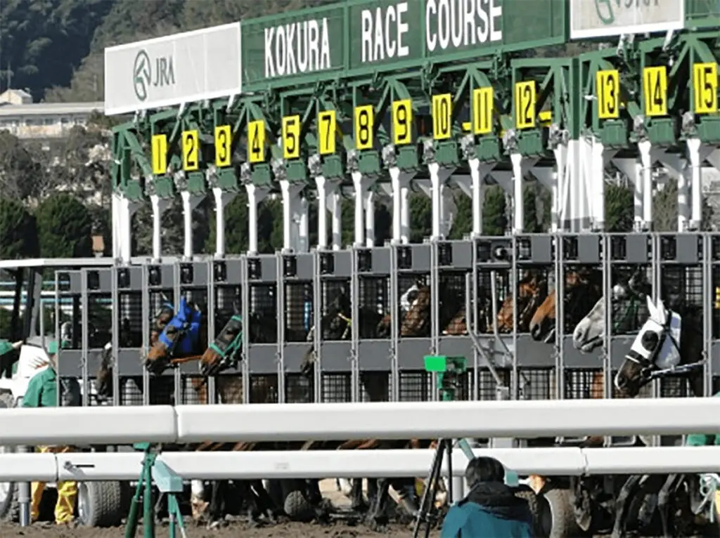 【小倉記念2022予想】波乱多きハンデG3!ジェラルディーナやマリアエレーナなど出走予定馬を考察