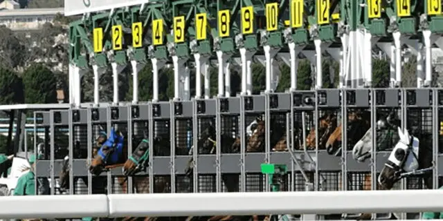 【CBC賞2022予想】サマースプリントシリーズ第2弾!ファストフォースやアネゴハダなど出走予定馬を考察