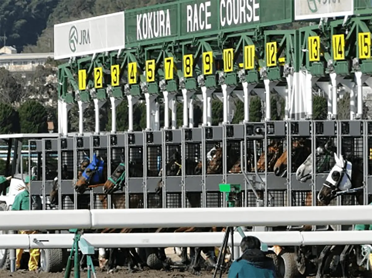 【小倉大賞典2022予想】小倉の名物ハンデG3!アリーヴォやダブルシャープなど出走予定馬を考察
