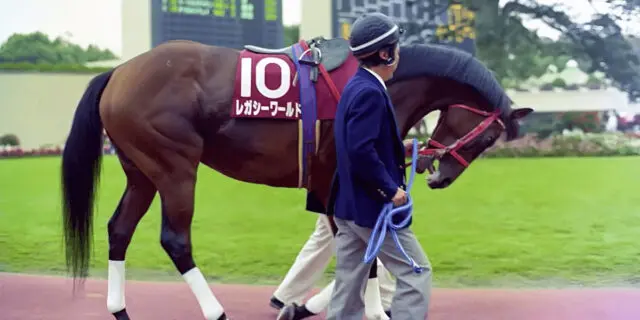 93年のジャパンC覇者、レガシーワールド亡くなる