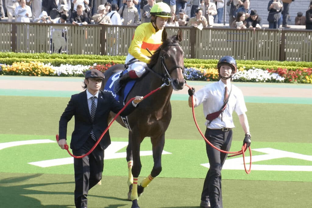 コパノリチャード種牡馬引退、第三の馬生へ