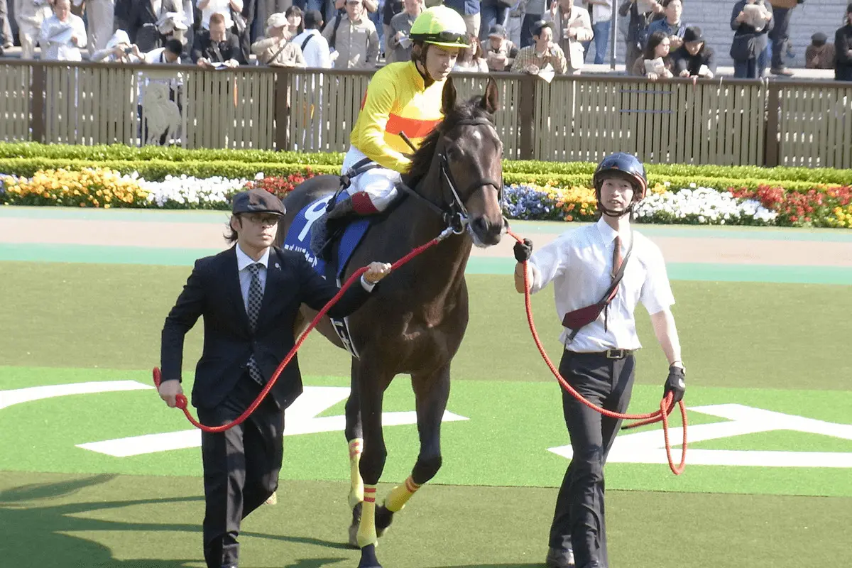 コパノリチャード種牡馬引退、第三の馬生へ